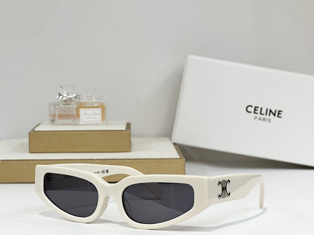  CELINE 
MOD：CL40269 
SIZE：54-19-135

