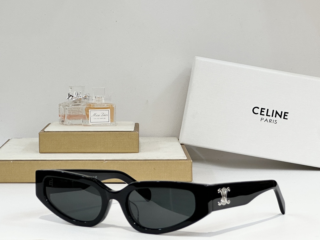  CELINE 
MOD：CL40269 
SIZE：54-19-135
