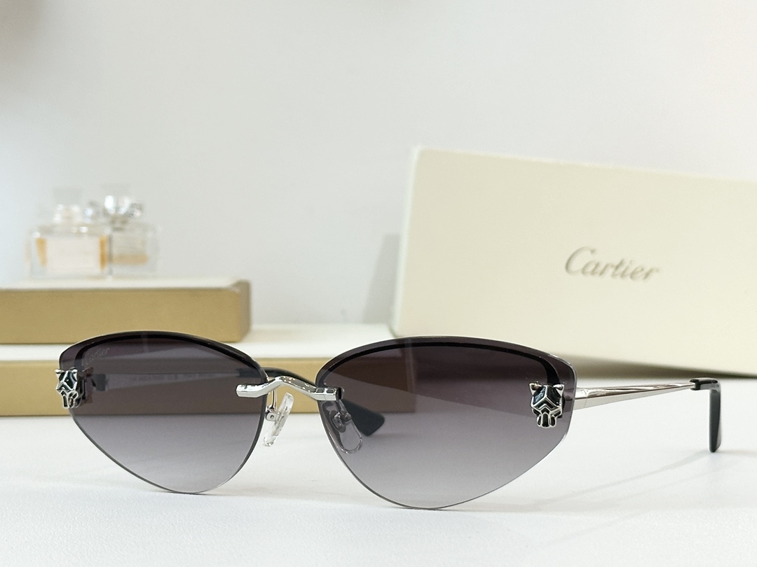 CartierMOD：CT0431SSize：65口15-140