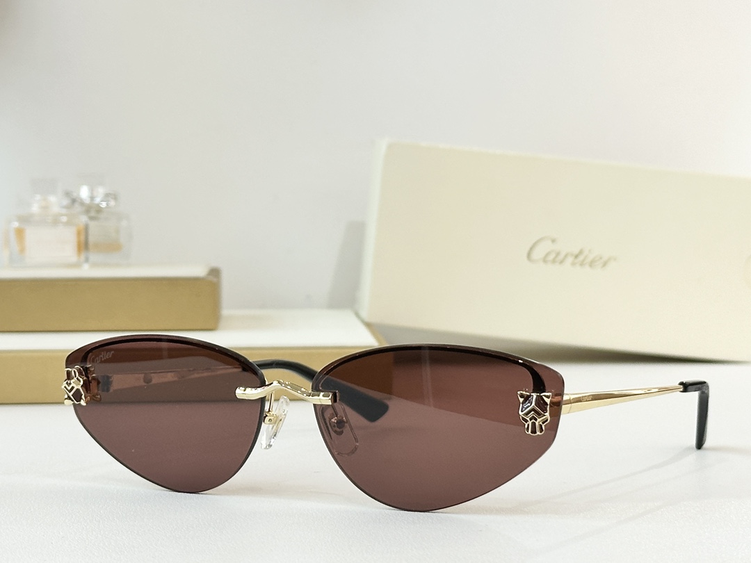 CartierMOD：CT0431SSize：65口15-140