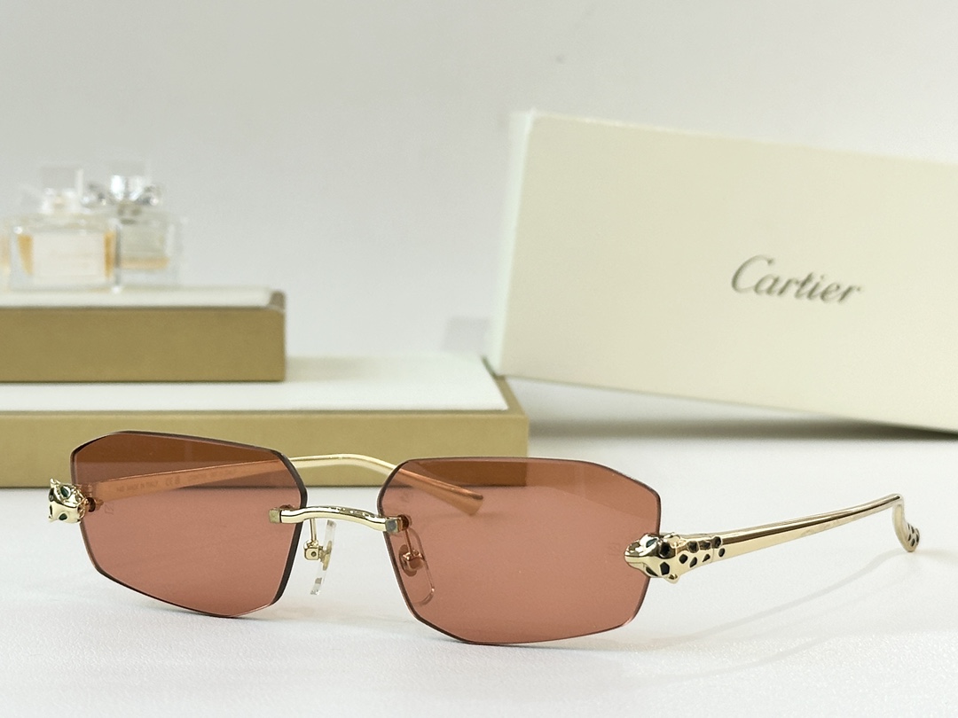 Cartie* MODEL：CT0474S SIZE：56口18-145