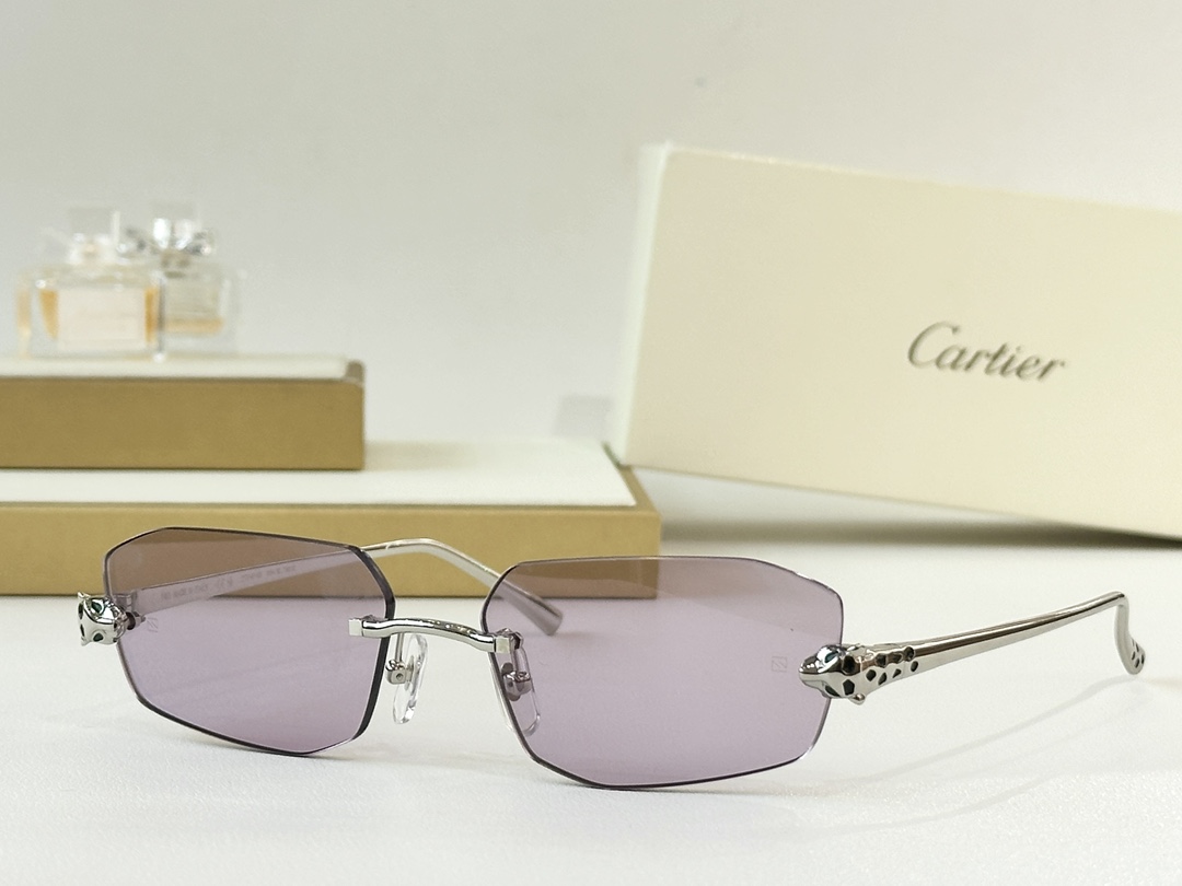 Cartie* MODEL：CT0474S SIZE：56口18-145
