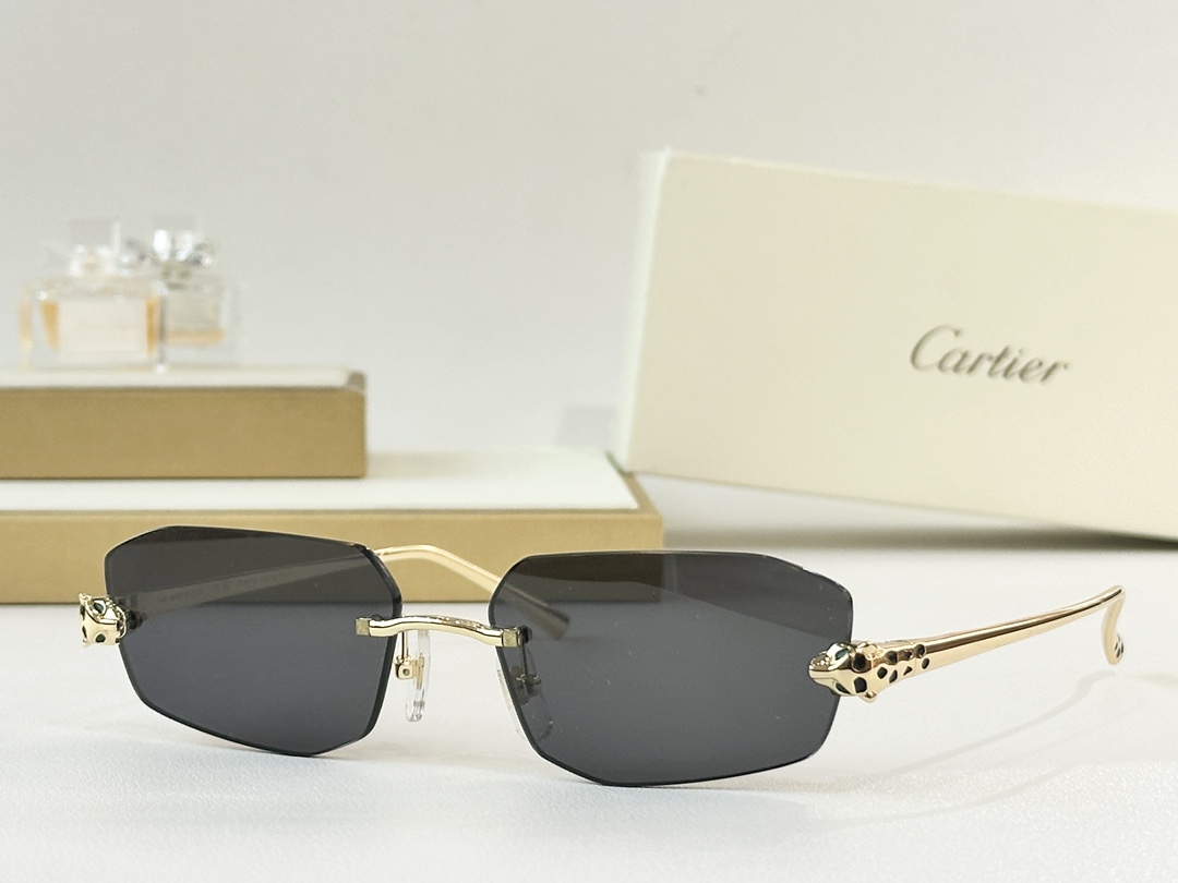 Cartie* MODEL：CT0474S SIZE：56口18-145