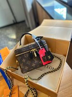 Louis Vuitton Cosmetic Bags Vanity