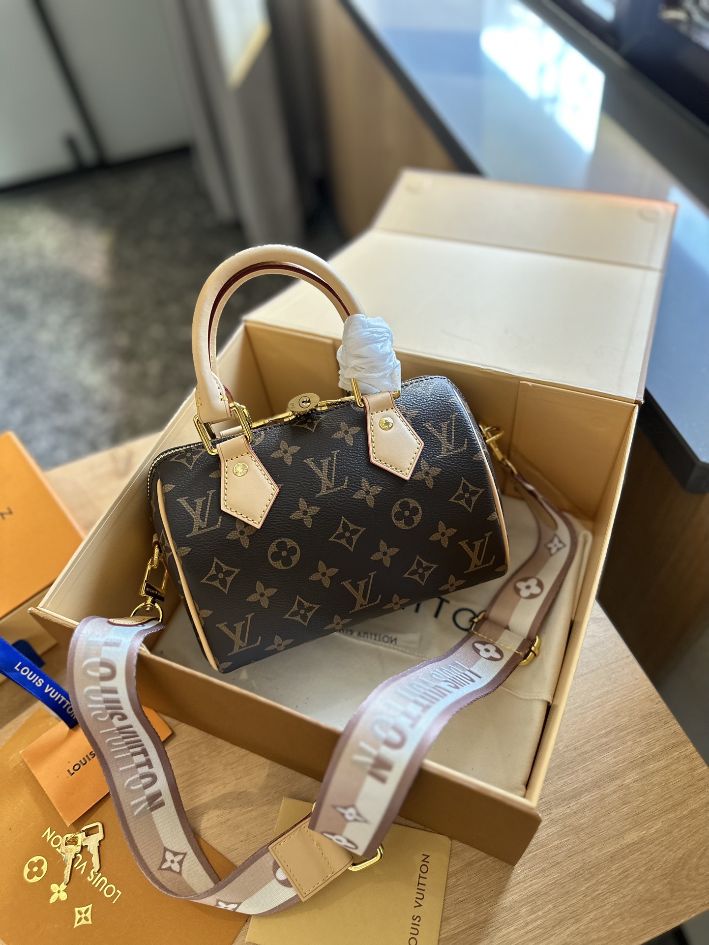 Louis Vuitton LV Speedy Bags Handbags