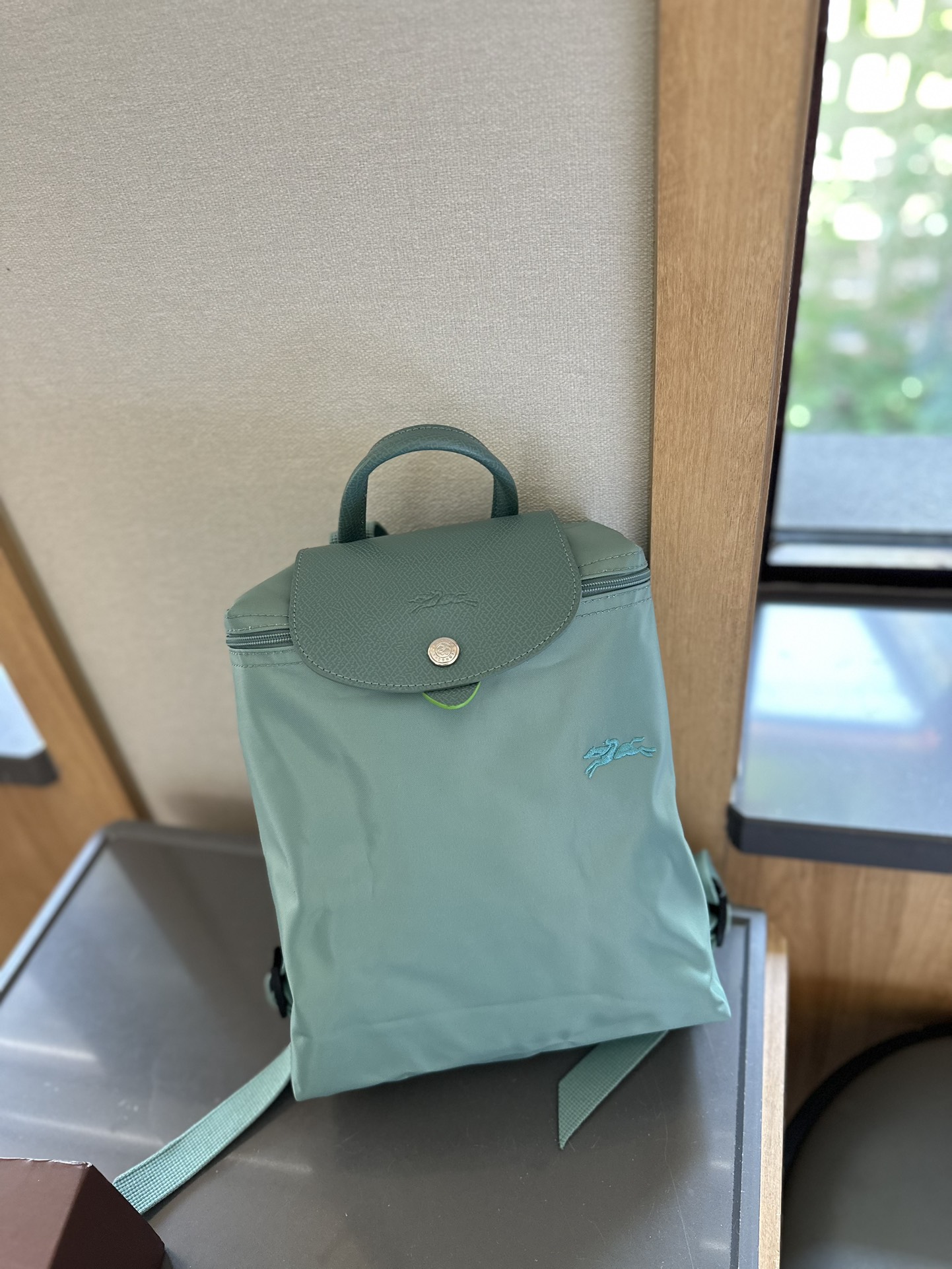 Longchamp Bags Backpack