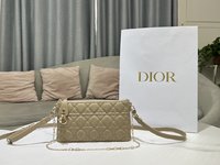 Dior Bags Handbags Resin Sheepskin Spring Collection Chains