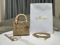 Dior Bags Handbags Fake Designer
 Gold Embroidery Sheepskin Lady Chains