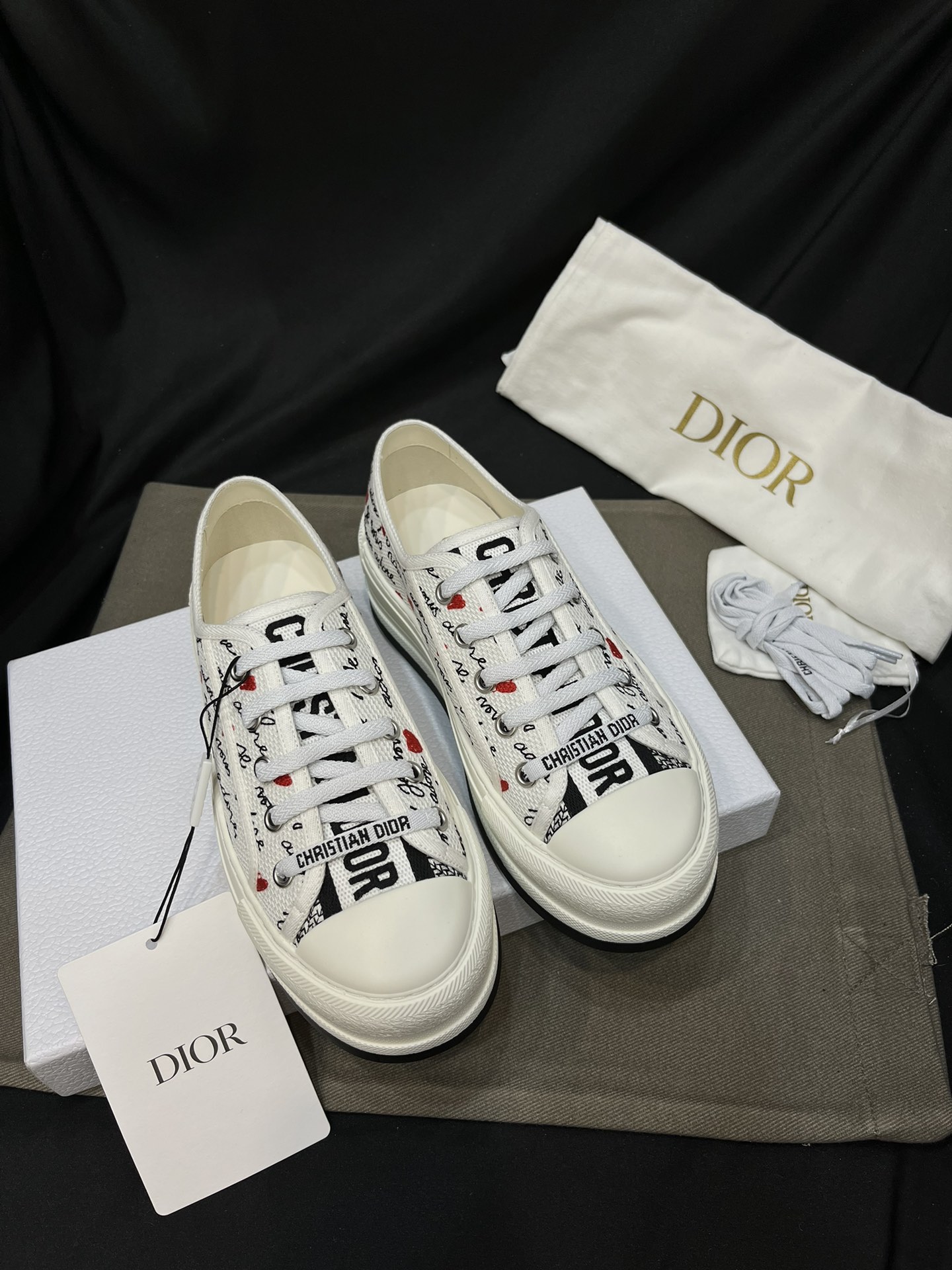 Dior Luxo
 Sapatos de lona Bordados Canvas Pele de carneiro