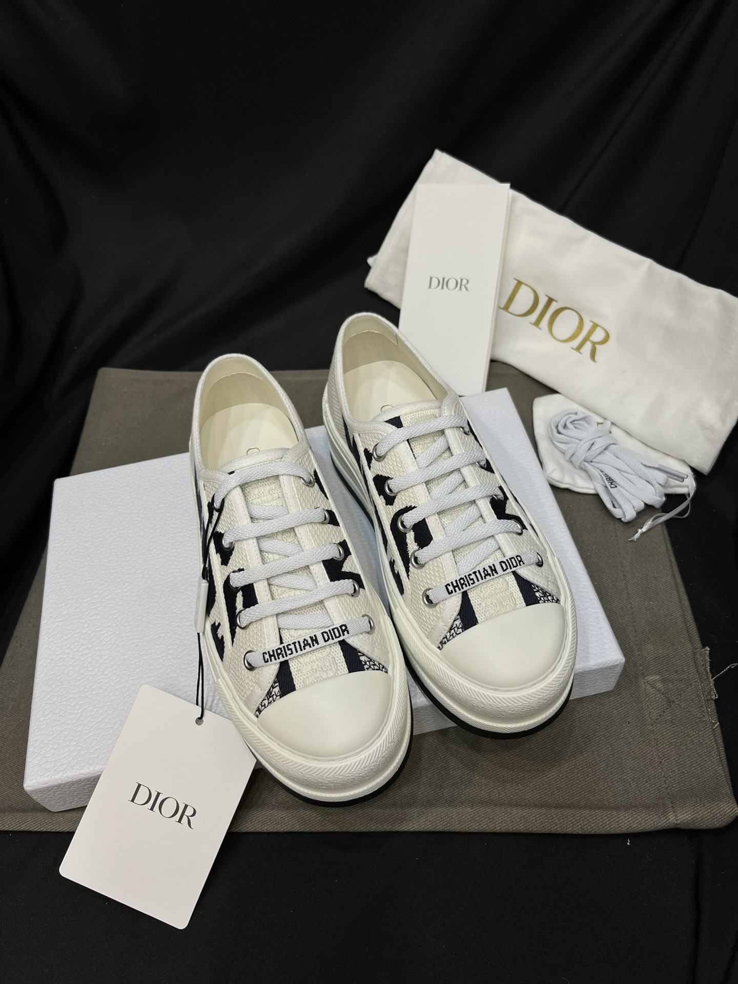 Dior Sapatos de lona Bordados Canvas Pele de carneiro