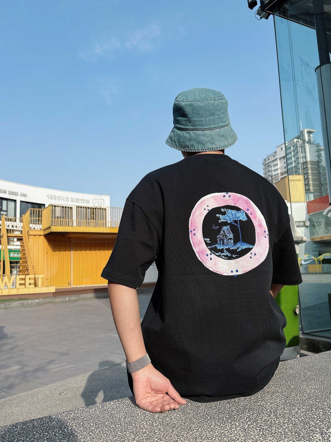 Dior 25SS秀场联名 短袖T恤服装,男,女,dior 6