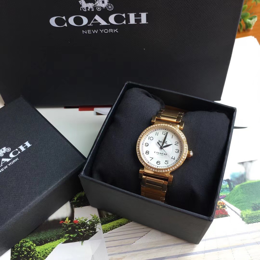 Luxury COACH Crunch Madison Watch with Gold, Fire, and Chicken Details. - 图片 5