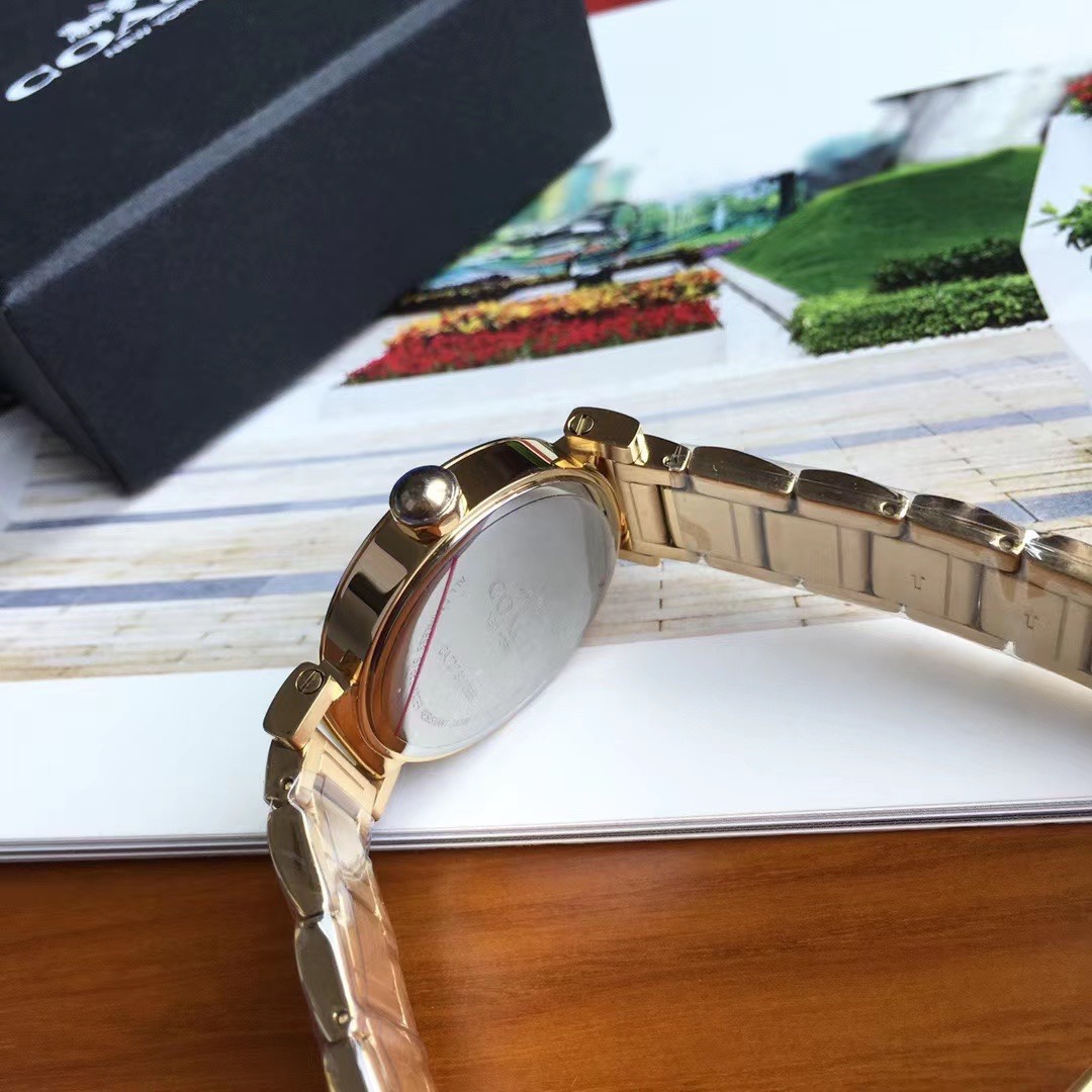 Luxury COACH Crunch Madison Watch with Gold, Fire, and Chicken Details. - 图片 4