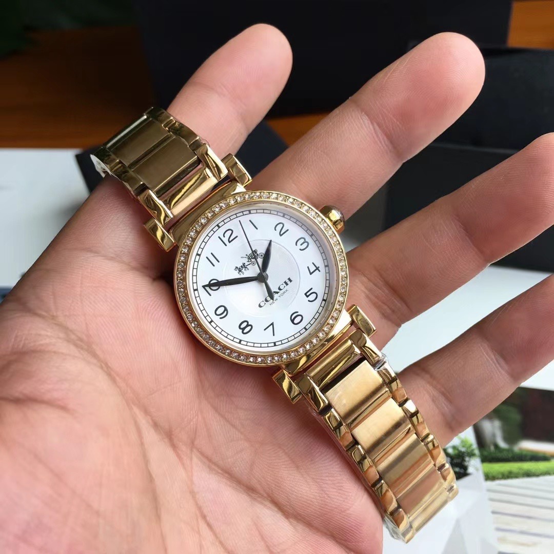 Luxury COACH Crunch Madison Watch with Gold, Fire, and Chicken Details. - 图片 6