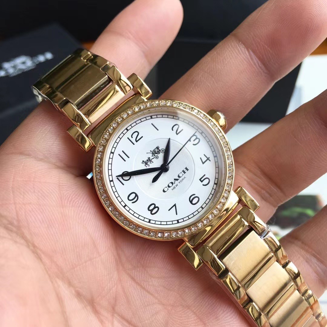 Luxury COACH Crunch Madison Watch with Gold, Fire, and Chicken Details.