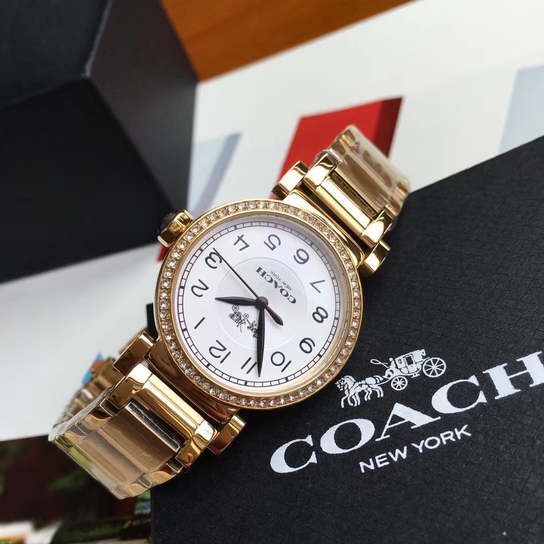Luxury COACH Crunch Madison Watch with Gold, Fire, and Chicken Details. - 图片 3