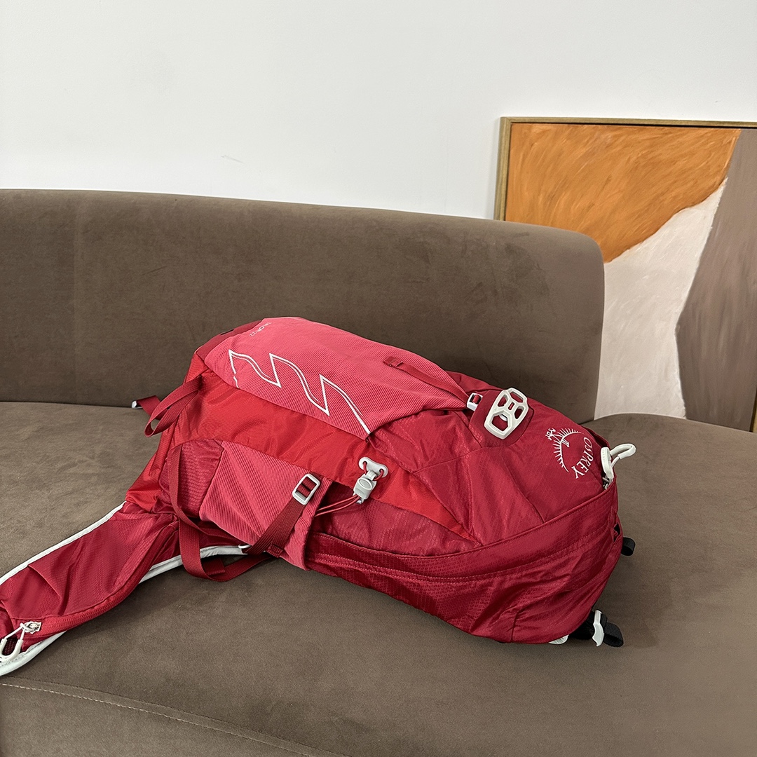 OSPREY Talon 22 Backpack - Comprehensive 4