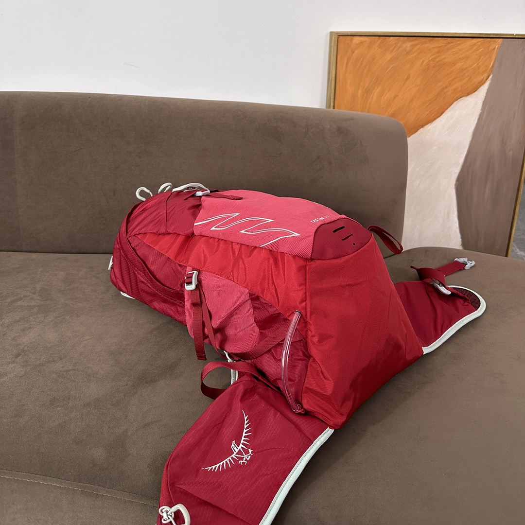 OSPREY Talon 22 Backpack - Comprehensive 3