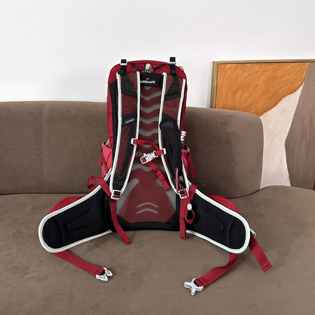 OSPREY Talon 22 Backpack - Comprehensive 2