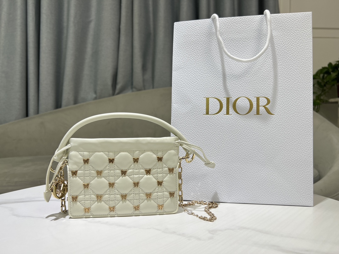 Dior Bags Handbags Gold White Resin Sheepskin Lady Chains