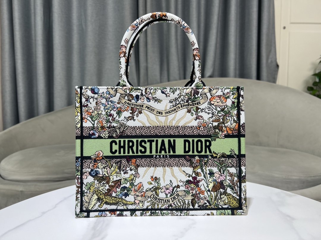 迪奥Dior顶级进口原厂刺绣购物袋中号绿太阳这款BookTote手袋由Dior女装创意总监玛丽亚嘉茜娅蔻