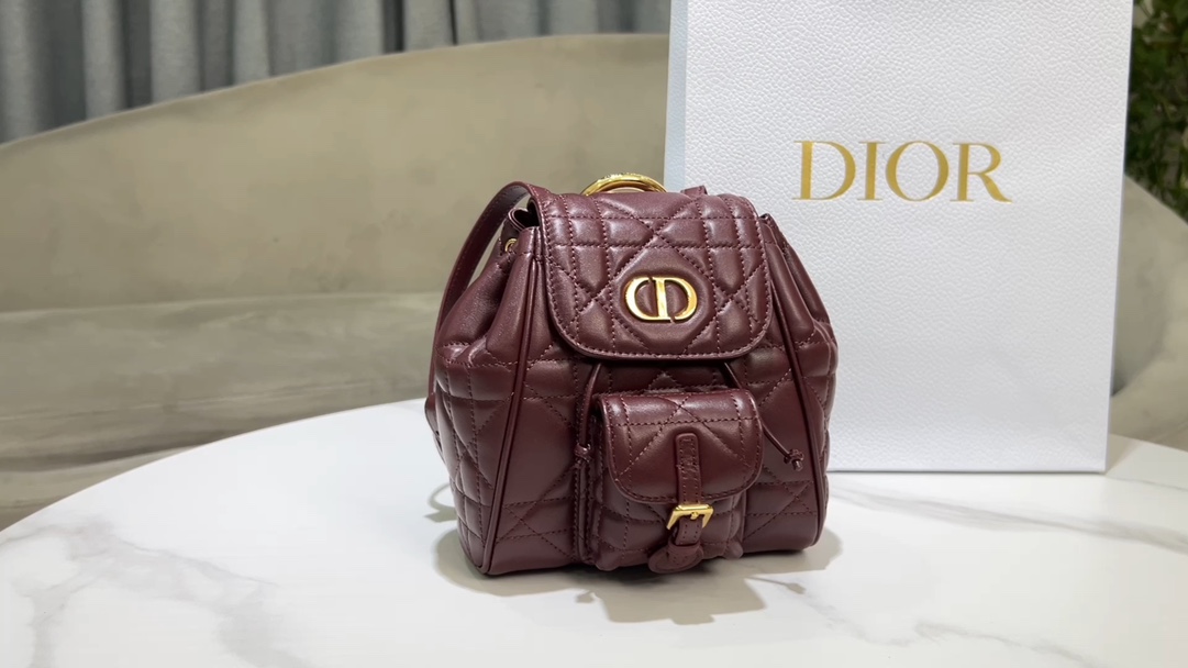 Dior Small D ior Caro backpack