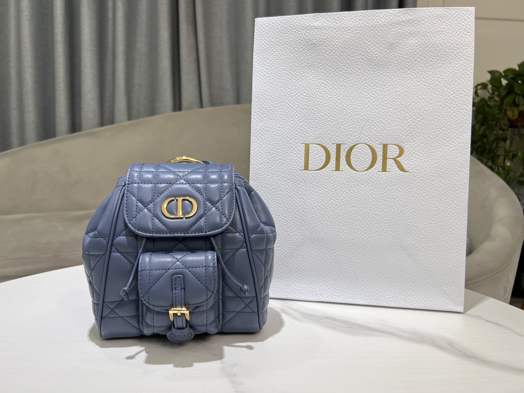 Dior Small D ior Caro backpack