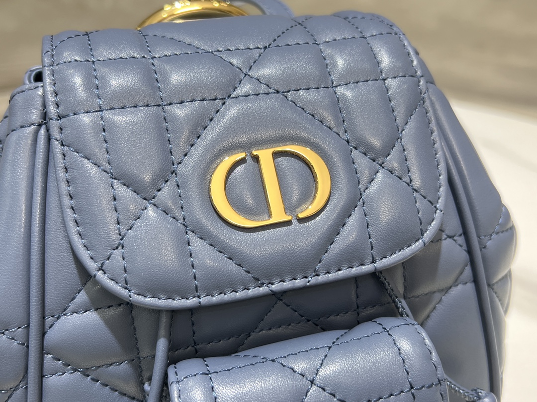 Dior Small D ior Caro backpack
