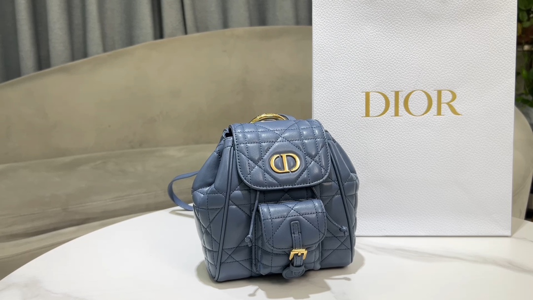 Dior Small D ior Caro backpack
