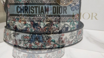 Christian Dior Five-Grid Butterfly Embroidered Handbag – Elegant & Stylish