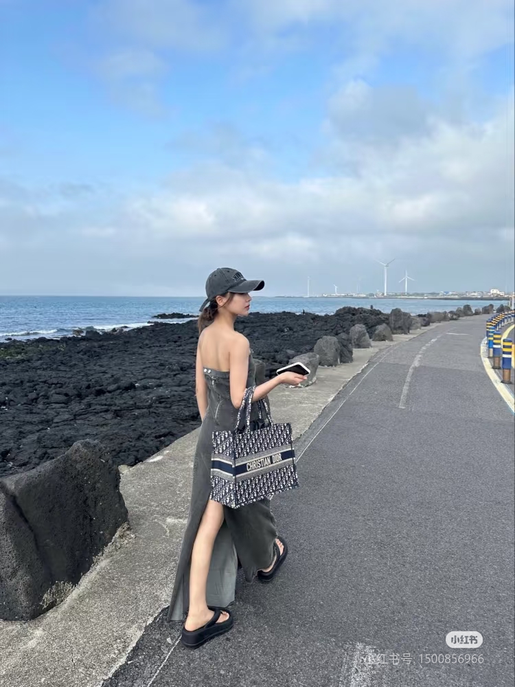 Dior Book Tote Bag – Stylish & Functional – Perfect for Everyday Use