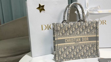 תיק טואט מבית Dior בגוון אפור עם הדפס ייחודי ודגם קומפקטי