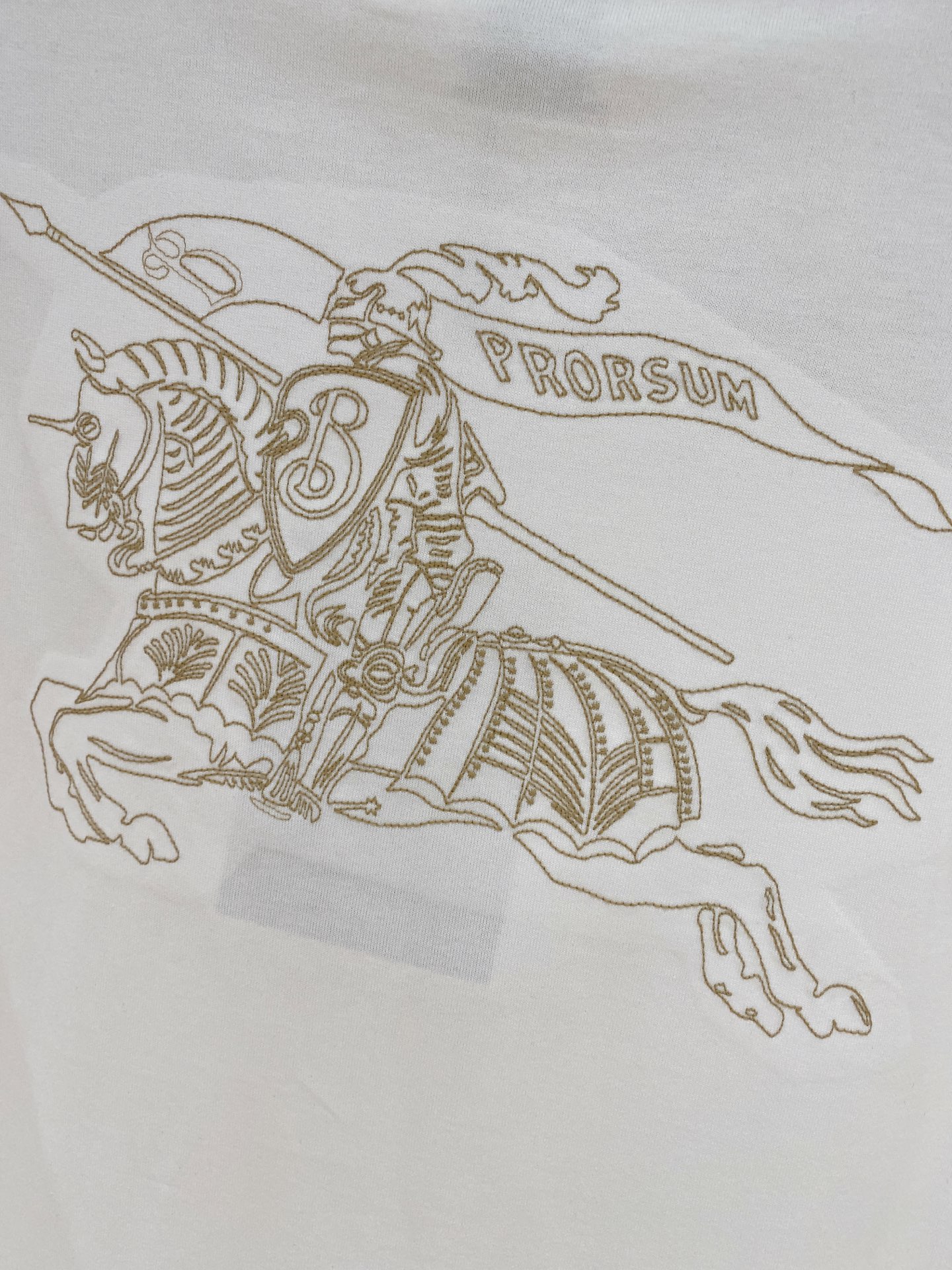 BBr  短袖圆领T恤服装,男 8