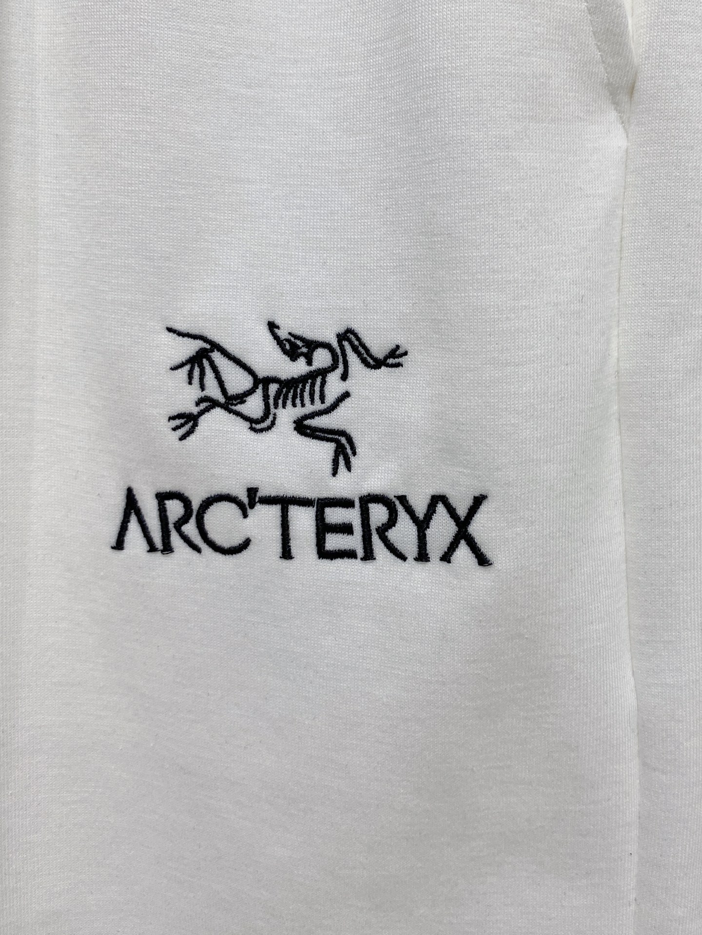 aa.jpg