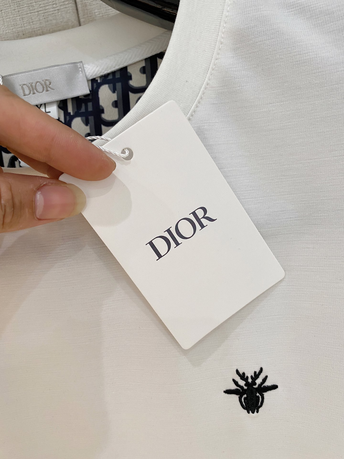 Dior Bee Embroidery White T-shirt Pants Set