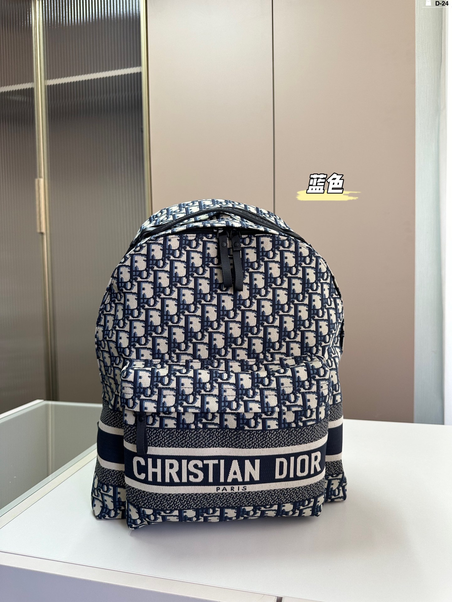 Dior Taschen Rucksack Leinwand Oblique