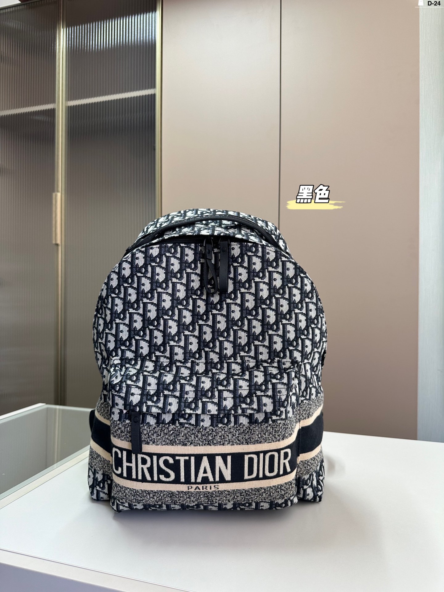 Wo kann man Fälschungen kaufen
 Dior Taschen Rucksack Leinwand Oblique