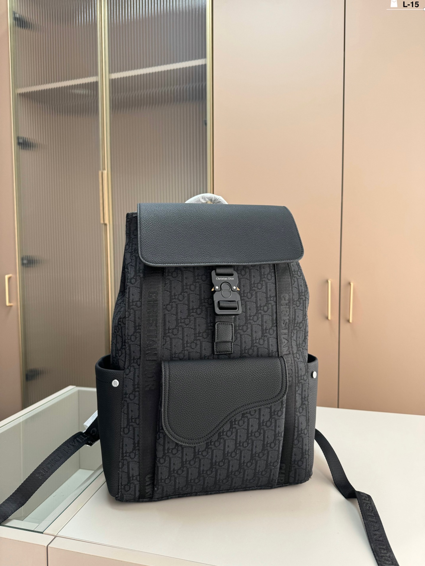 Dior Taschen Rucksack Leinwand Oblique