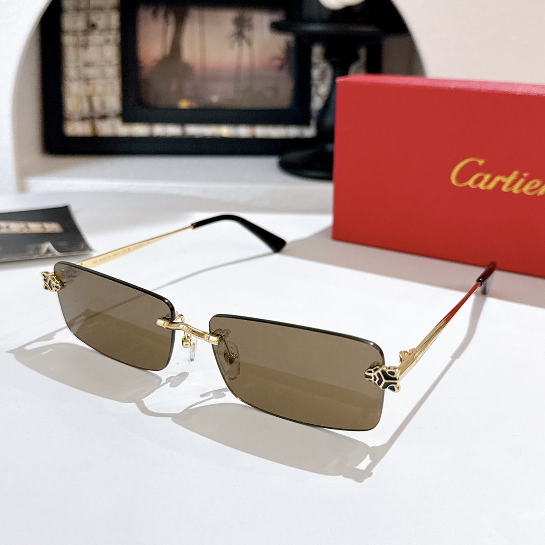 Cartie*MODEL：CT0598SSIZE: 59口18-147