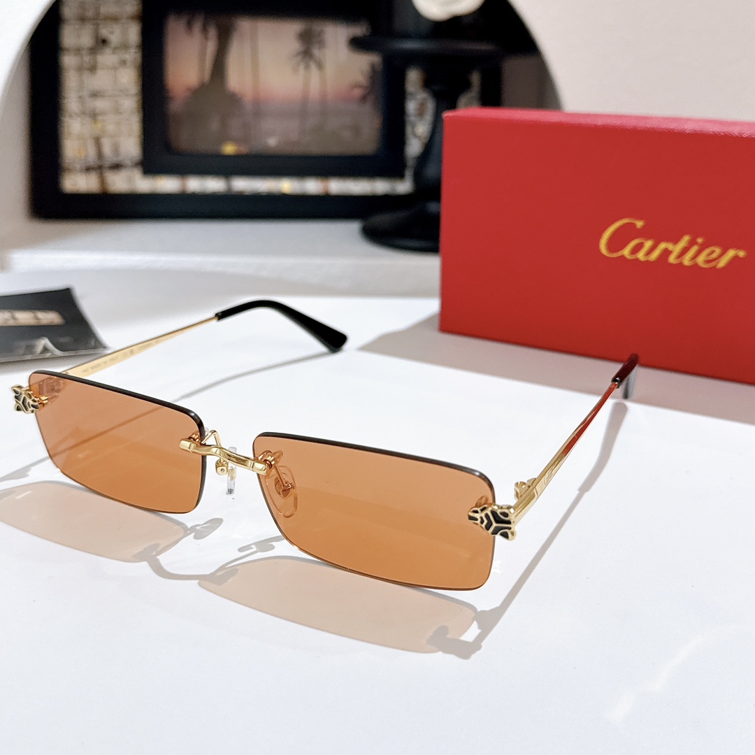 Cartie*MODEL：CT0598SSIZE: 59口18-147