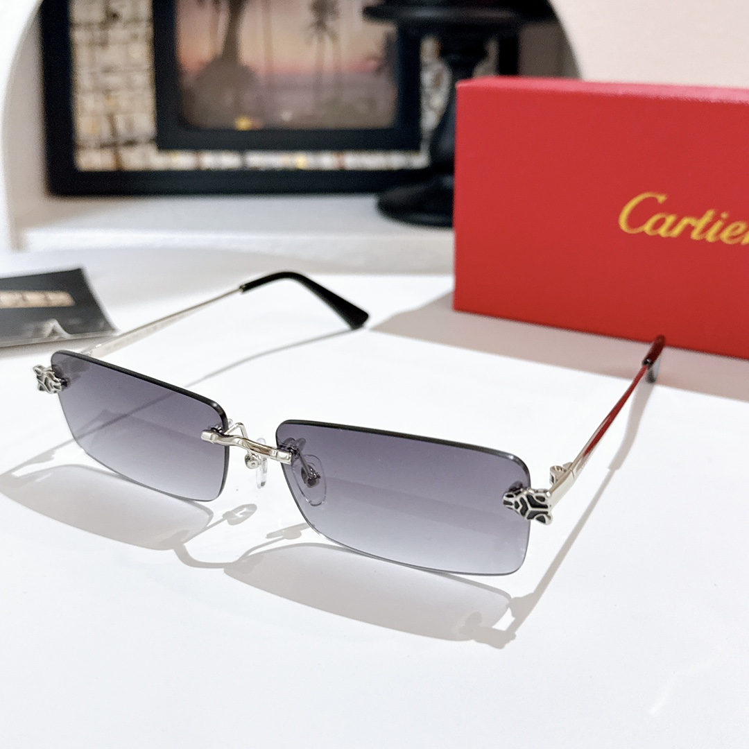 Cartie*MODEL：CT0598SSIZE: 59口18-147