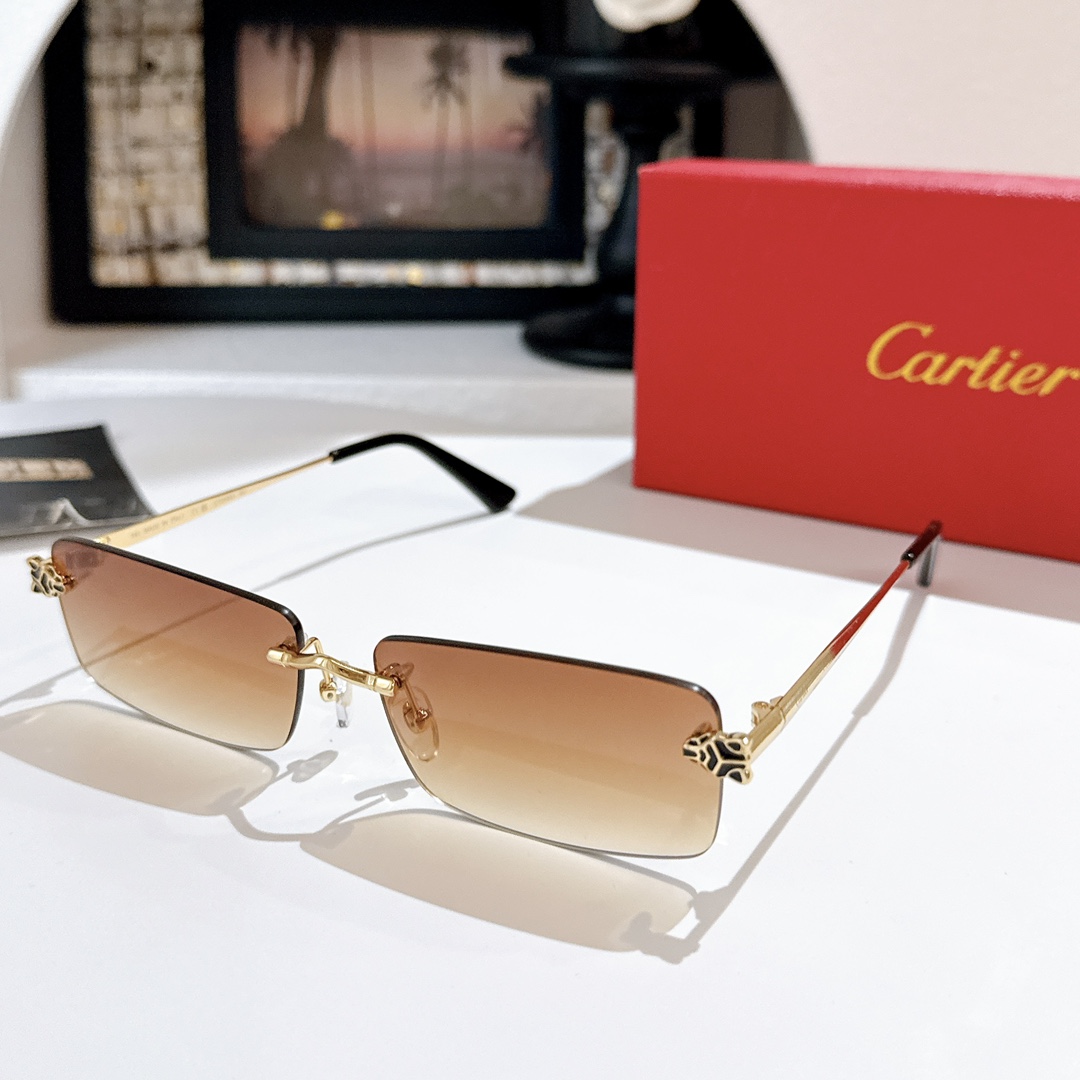 Cartie*MODEL：CT0598SSIZE: 59口18-147