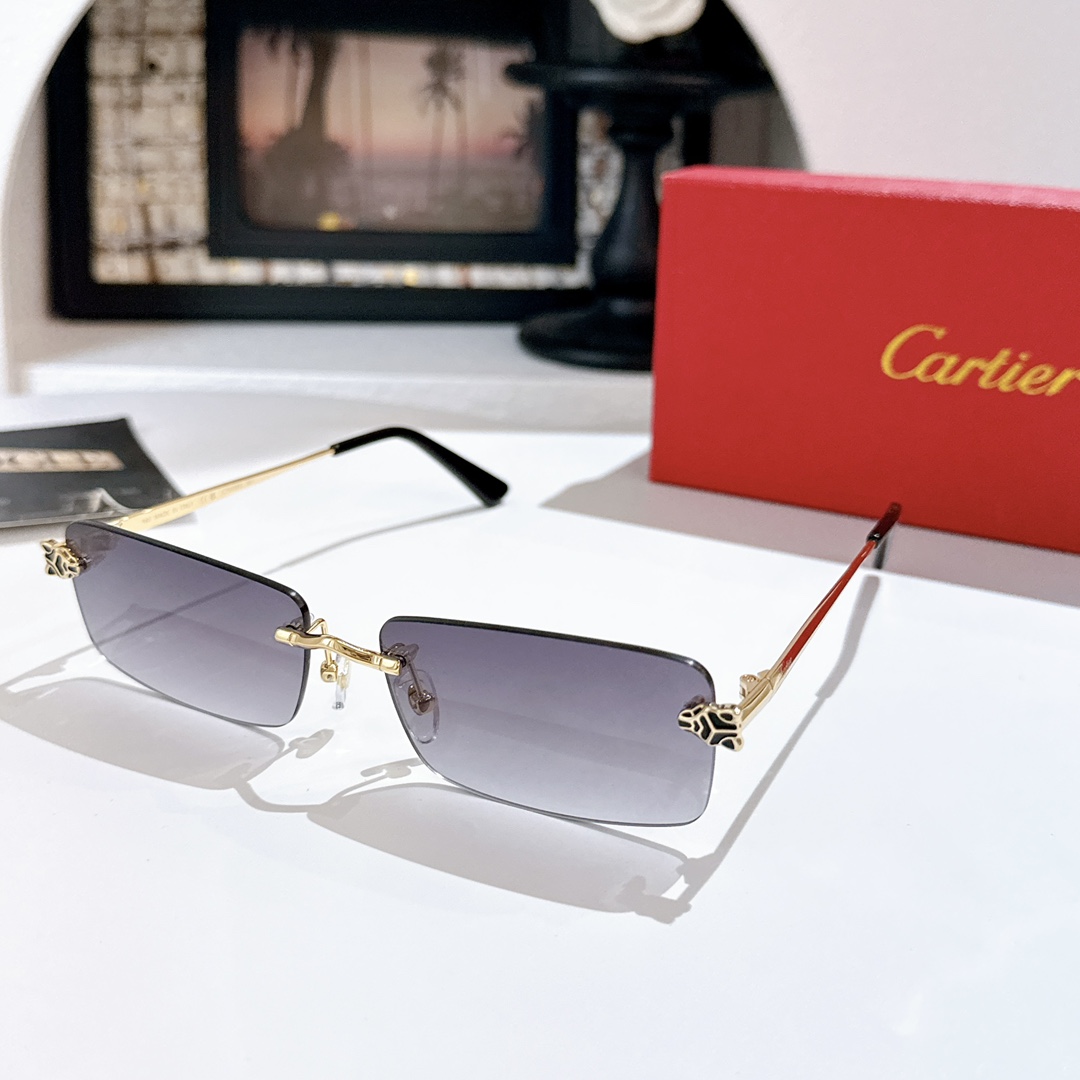 Cartie*MODEL：CT0598SSIZE: 59口18-147