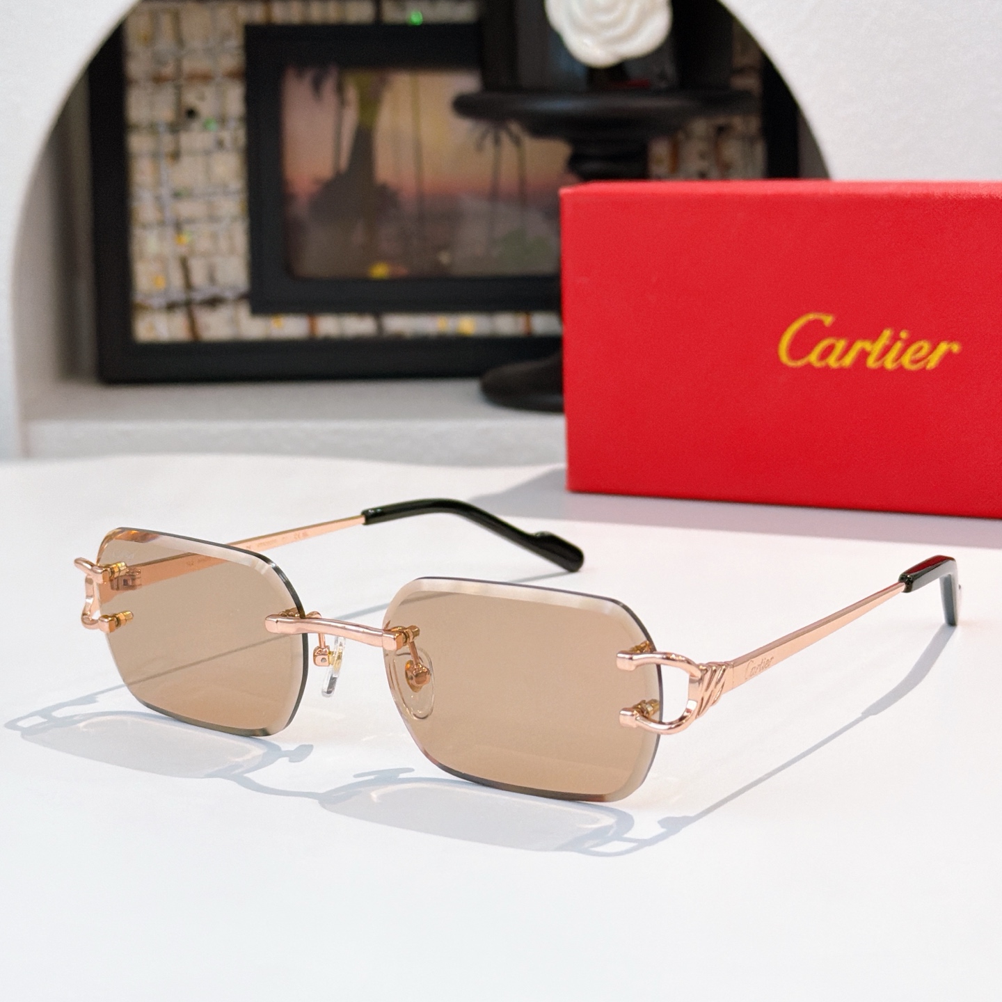 Cartie* MODEL：CT02027O TALLA：56口19-142 🉐155