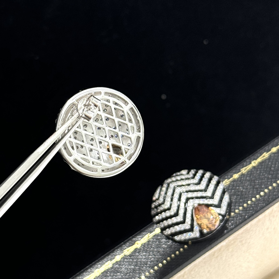 Luxury luxury earrings 8
