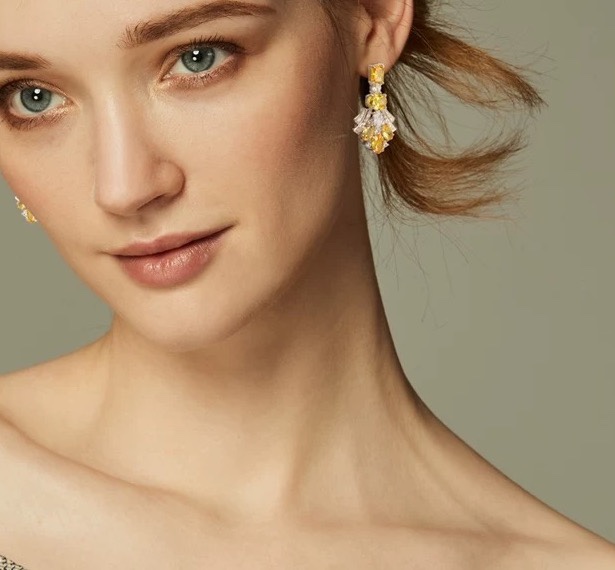 Luxury luxury earrings 3