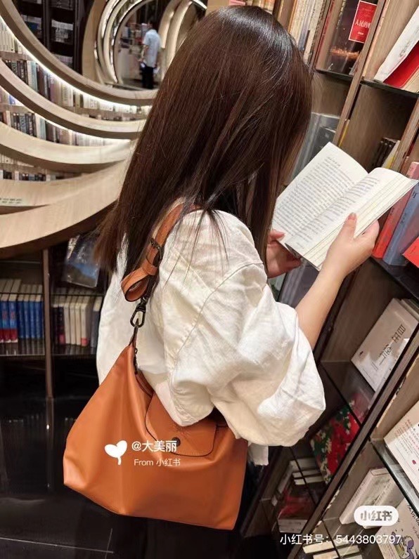 Longchamp Brown upper body reference