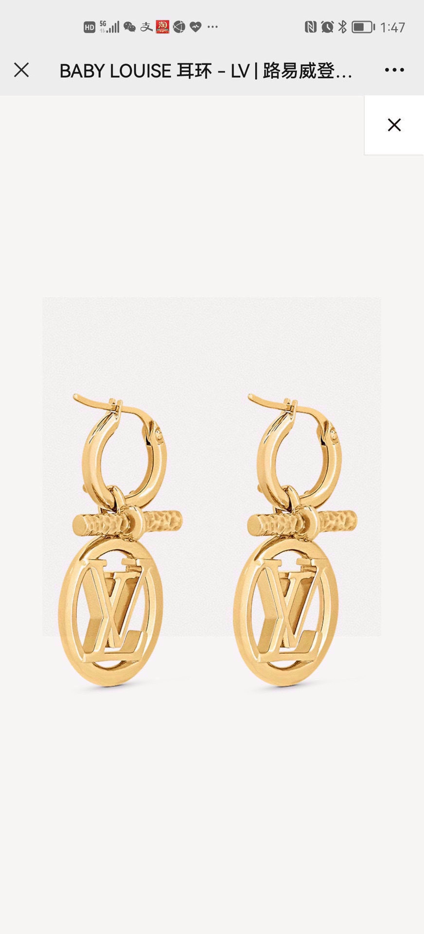 Louis Vuitton Jewelry Earring Necklaces & Pendants Polishing Chains