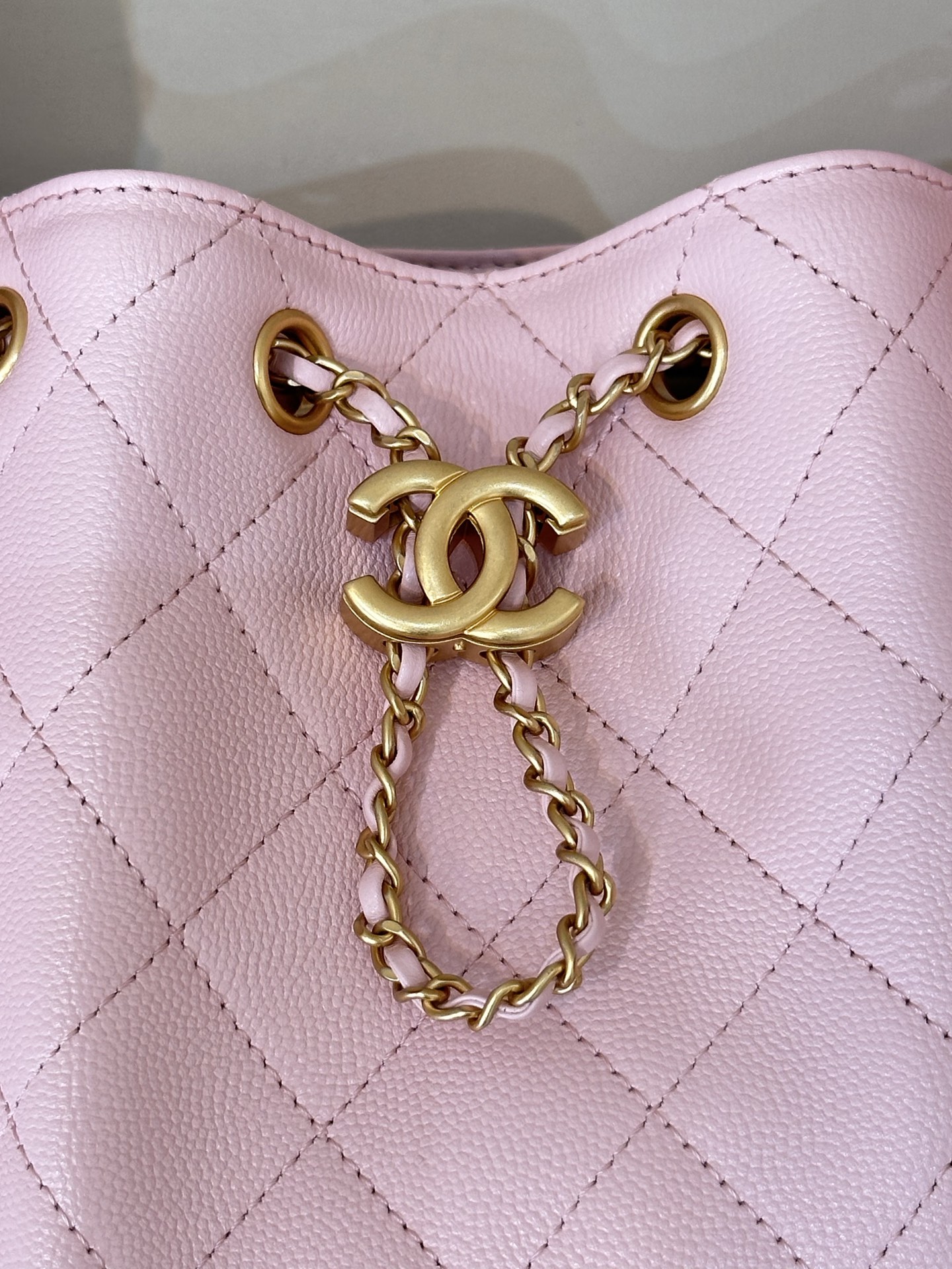 Chanel Pink Quilted Leather Hobo Bag with Gold-Tone Hardware 6 i1745231121326 3691 0 5