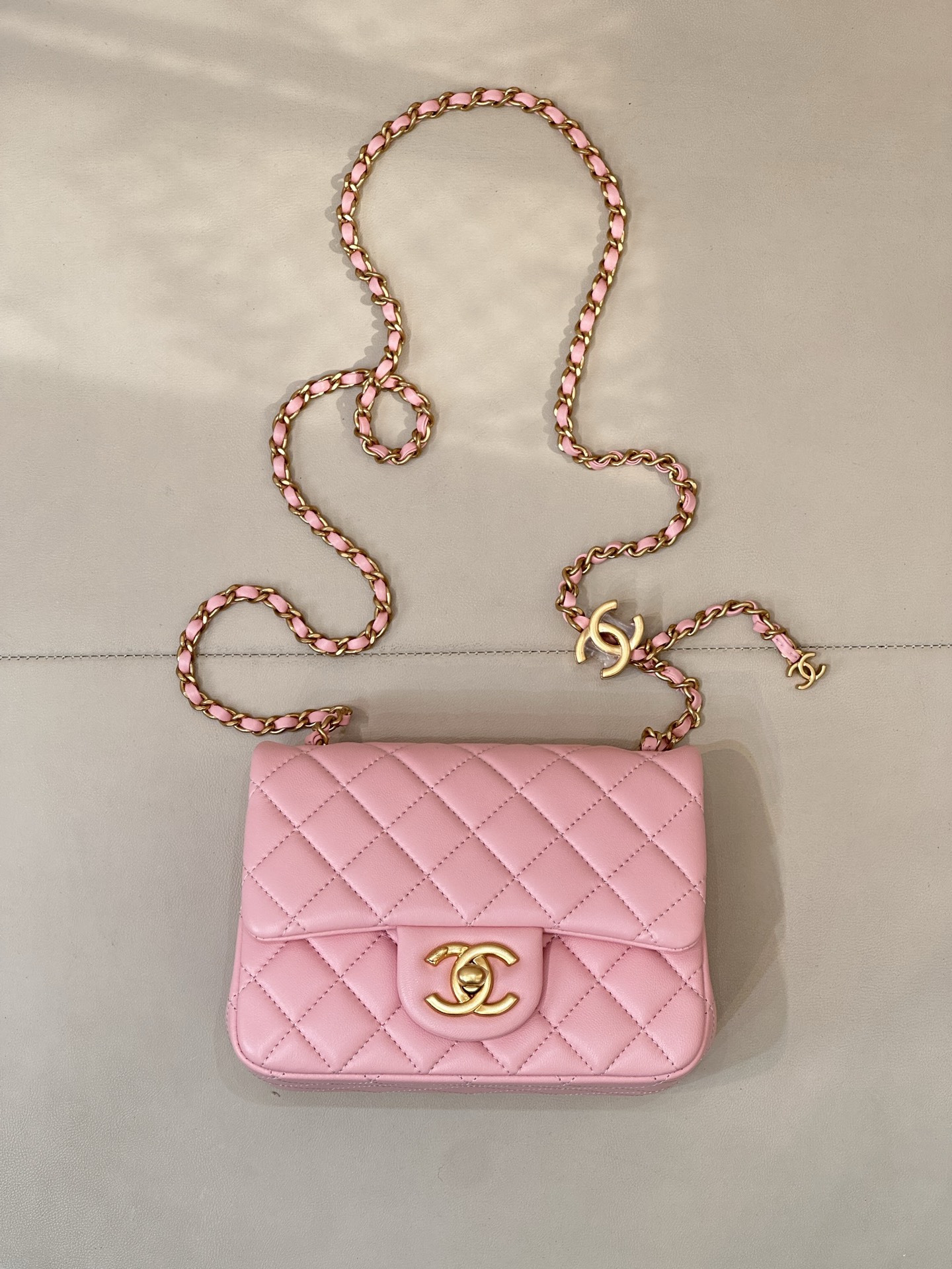 5758 Rosa/Colmillo Graso